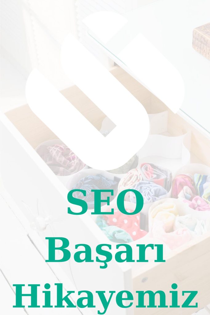 seo-basari